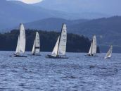 Segelsport auf dem Lipno See in Tschechien