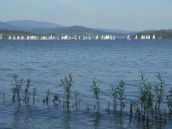 Angeln am Moldaustausee Hütte am Ufer