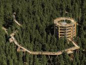 Sehenswürdigkeiten am Lipno Stausee der Baumkronenpfad in Frymburk