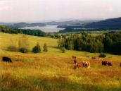 Karte und Bilder vom Moldaustausee ems Reisen