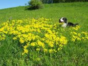 Urlaub in der Grenzregion Deutschland Tschechien