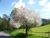 Urlaub in der Böhmischen Schweiz Ferienhäuser