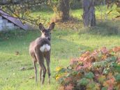 Böhmische Schweiz Tschechien