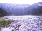 am Lipno Stausee Sehenswertes Ausflug Plöckensteiner See