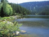 Ausflug vom Moldausee zum Plöckensteiner See