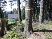 Urlaub am Stausee in Tschechien Ferienhaus mit Ruderboot