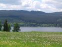 Urlaub in Lojzovy Paseky am Lipno Stausee